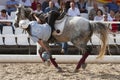 Woman during a Horseball match Royalty Free Stock Photo