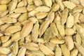 Cardamom elachi dry spice Royalty Free Stock Photo