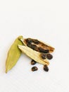 Cardamom Elaichi choti-elaichi Yelakkai Ellakkaya Elathari Cardamomo Cardamome Kardamom Huba alal stock photo