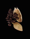 Cardamom or Elaichi or Yelakkai or Ellakkaya or Kardamom or Hil or Elettaria with its tiny black seeds in black background Royalty Free Stock Photo