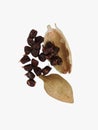 Cardamom or Elaichi or Yelakkai or Ellakkaya or Kardamom or Hil or Elettaria with its tiny black seeds in white background