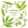 Cardamom elements set