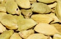 Cardamom ( Elettaria cardamomum )