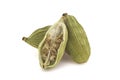 Cardamom or elettaria cardamomum isolated on white background with clipping path