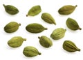 Cardamom, elettaria cardamomum, Seeds against White Background