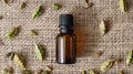 cardamom essential oil on burlap background