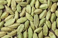 Cardamom green super food asian spice close up Royalty Free Stock Photo