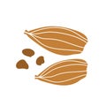 Cardamom icon. Botanical hand drawn icon for labels and packages in simple style