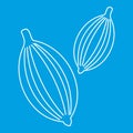 Cardamom icon, outline style