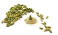 Cardamom isolated. Royalty Free Stock Photo