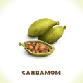 Cardamom isolated on white Royalty Free Stock Photo