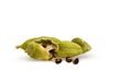 Cardamom pods Royalty Free Stock Photo