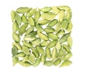 Cardamom pods isolated on white background. Green cardamon seeds. Clipping path. Top view. Royalty Free Stock Photo