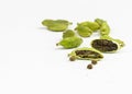 Cardamom pods and seeds isolated on white background Royalty Free Stock Photo