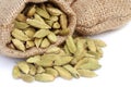 Cardamom seed in sack Royalty Free Stock Photo