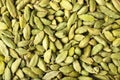 Cardamom seeds spice as a background, natural seasoning texture Royalty Free Stock Photo