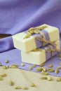 Cardamom soap Royalty Free Stock Photo