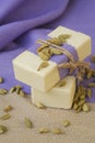 Cardamom soap Royalty Free Stock Photo