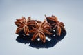 Cardamom, star anise, on a gray background. Spices and aroma Royalty Free Stock Photo