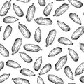 Cardamom vector hand drawn seamless pattern.