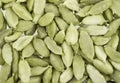 Cardamom whole Royalty Free Stock Photo