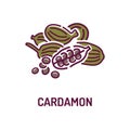 Cardamon seeds color line icon. Spices product. Cooking ingredient. Pictogram for web page, mobile app, promo