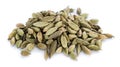 Cardamon Seeds isolated on white Royalty Free Stock Photo