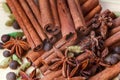 Cardamon spice anice Royalty Free Stock Photo