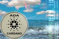 The Cardano coin Royalty Free Stock Photo