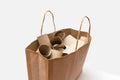 Cardboard bag with empty toilet paper rolls on white background. Concept of recycling and consumerism.