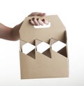 Cardboard bottle carrier