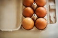 A cardboard box of brown chicken eggs from the store sits on the kitchen table. Food for breakfast Royalty Free Stock Photo