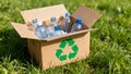 Cardboard box filled with plastic bottles for recycling on green grass Royalty Free Stock Photo