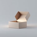 A cardboard box with a lid open on a gray background Royalty Free Stock Photo
