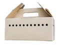 Cardboard box with many holes for air ventilation