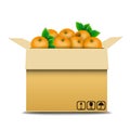 Cardboard box with oranges for sale