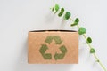 Cardboard box with a recycle sign and a plant on a light background. Royalty Free Stock Photo