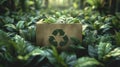 Cardboard box with a recycling sign on a forest background. Royalty Free Stock Photo