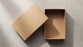 Cardboard box with a removable lid positioned open on a textured Royalty Free Stock Photo