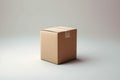The Cardboard Box: A Review