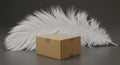 Cardboard box with white feather on gray surface Royalty Free Stock Photo