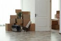Cardboard boxes and cat in room on moving day Royalty Free Stock Photo