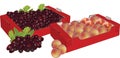 cardboard boxes containing grapes and peaches-