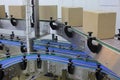 Cardboard boxes on conveyor belt in factory Royalty Free Stock Photo