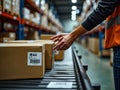 Cardboard Boxes on Conveyor Belt in Large Warehouse, Representing Logistics and E-commerce Royalty Free Stock Photo