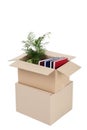 Cardboard boxes with plant and books Royalty Free Stock Photo