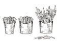 Cardboard boxes with handmade sketch fries. Hand drawing vector fast food illustration. French fries in pack and in bulk Royalty Free Stock Photo