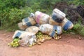 Cardboard boxes with mango scattered on the side of the road Royalty Free Stock Photo