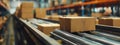 Cardboard boxes on conveyor belt in modern warehouse Royalty Free Stock Photo