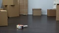 Cardboard boxes and sealing tape in room, advertisement of relocation service